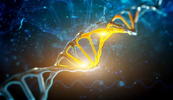 menos producci�n de esperma relacionado con el adn masculino