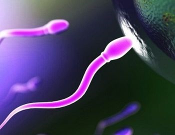 ca�da severa de producci�n de espermatozoides