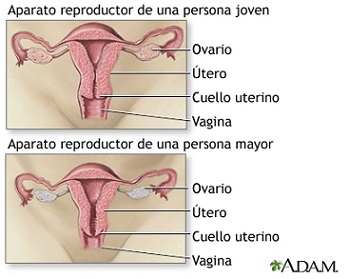 s�ntomas de la menopausia